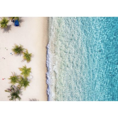 Tableau Mural Plage PLAGE CEANOTHE