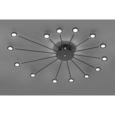 Candeeiro de teto/aplique Peacock, TRIO Lighting TRIO LIGHTING