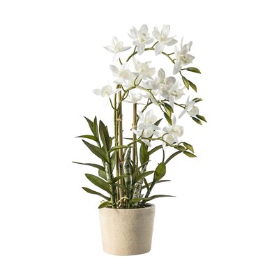 56cm Artificial Orchid Cycnoches SO'HOME