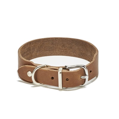Collier chien en cuir GIRO LABONI