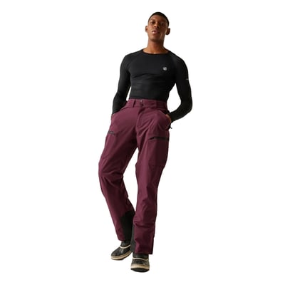 Pantalon de ski BASEPLATE DARE 2B
