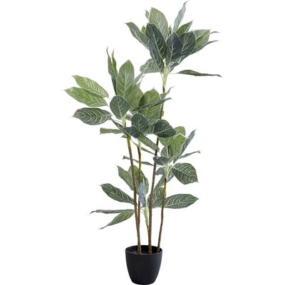 Plante décorative Calathea 140cm KARE DESIGN