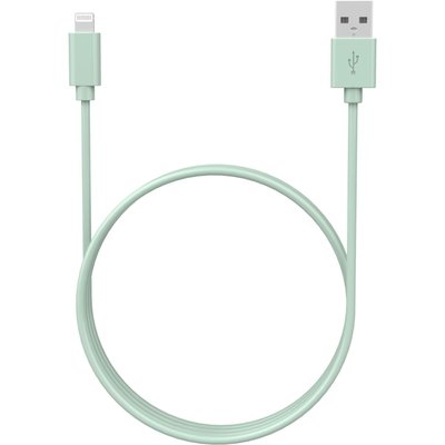 Câble de charge USB-A vers Lightning 1M Amande ESSENTIEL B
