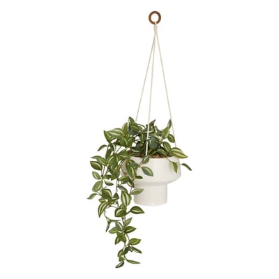 Plante suspendue Homy H.80cm ATMOSPHERA