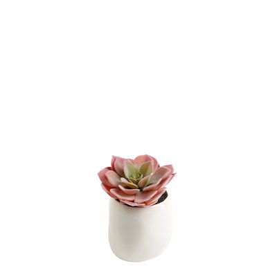 Succulente en pot artificielle en argile H12 SIA DECO