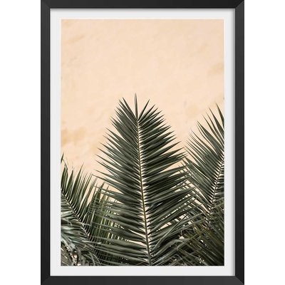 Poster sandy palme HEXOA