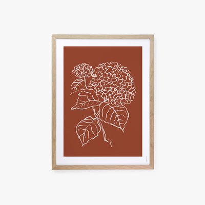 Hortensia, affiche seule 30x40cm COTTON BIRD
