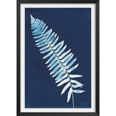 Affiche Fougère bleue HEXOA