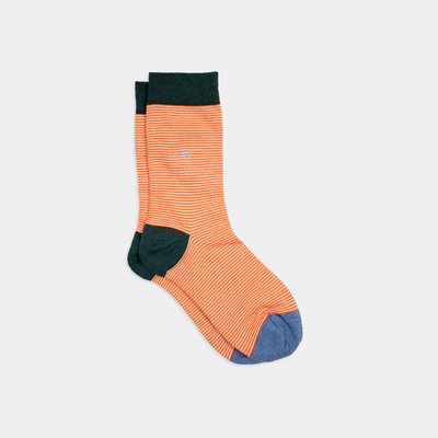 Chaussettes en coton peigné RAYEES BILLYBELT