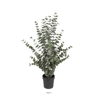 Eucalyptus cinerea artificiel en pot H 110 cm ARTIFICIELLES