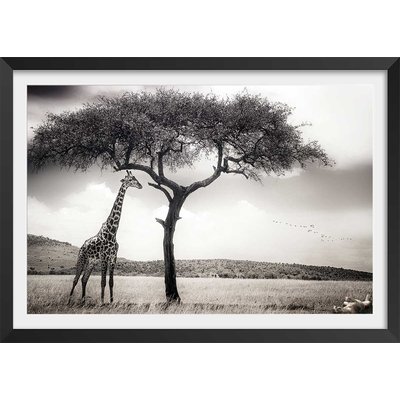 Affiche animaux sous le soleil d' afrique HEXOA
