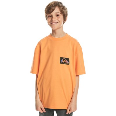 T-shirt BACK FLASH QUIKSILVER