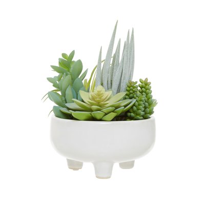 24cm Artificial Fiori Mixed Succulent in White Ceramic Pot SO'HOME