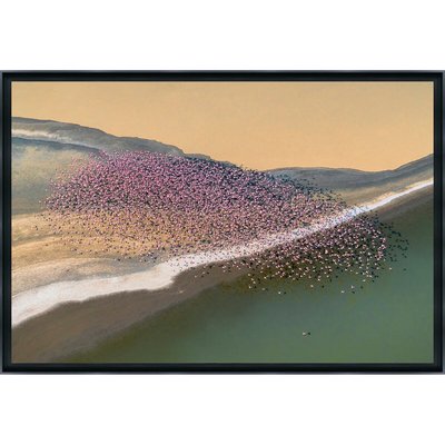 Tirage Encadré Sur Aluminium Partir Au Vent TIRAGE D'ART CEANOTHE
