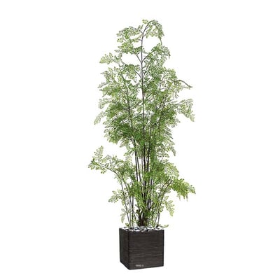 Fougère adiantum artificielle sur pied, ARTIFICIELLES