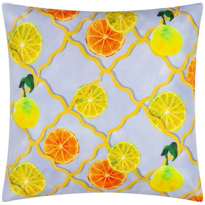 Citrus Trellis Outdoor Cushion WYLDER NATURE