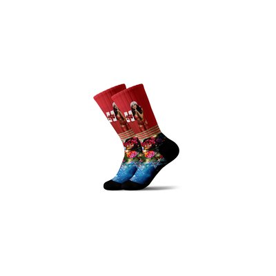 CHAUSSETTES SUBLIMÉES LONGCHARO PULLIN