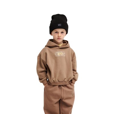 Sweat capuche TRICKS QUIKSILVER