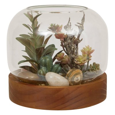 TERRARIUM PLANTE BOIS WONJ H14 ATMOSPHERA