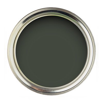 Water Based Eggshell Paint Gardenia Green SANDERSON