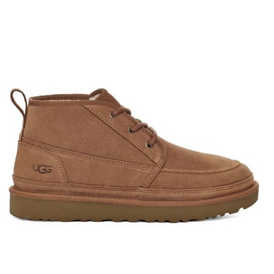 Bottine Basses À Lacets UGG