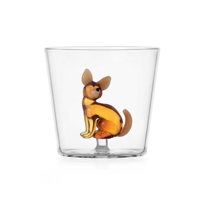 Verre chien  Dogs Chihuahua ICHENDORF