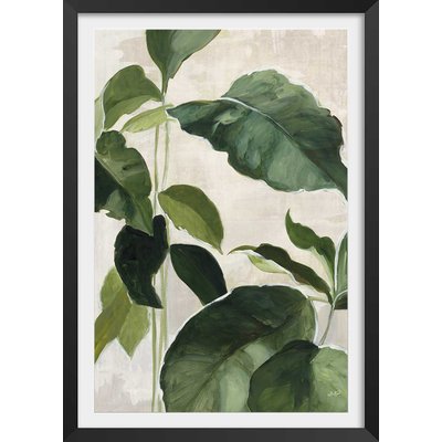 Poster Aquarelle botanique HEXOA
