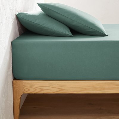 Drap housse uni coton, bonnet 32cm, Scenario LA REDOUTE INTERIEURS