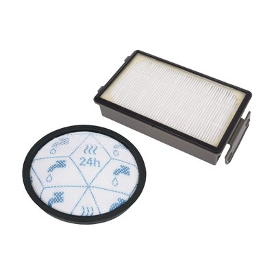 Filtre ZR007700 ROWENTA