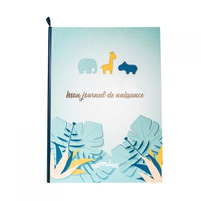 Livre de naissance DOMIVA