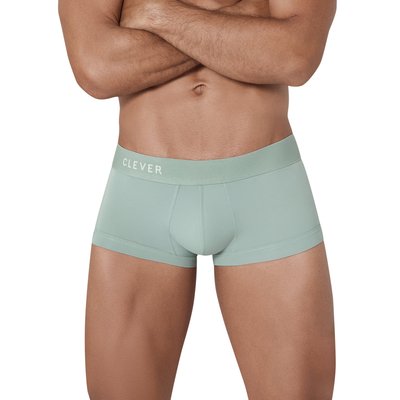 Boxer Tribe CLEVER