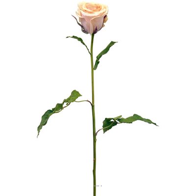 Rose Artificielle Nicole H90cm D10 cm pêche ARTIFICIELLES