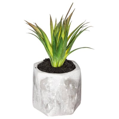 Plante grasse artificielle ATMOSPHERA