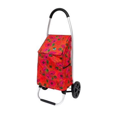 Chariot de courses  Trolly PYLONES
