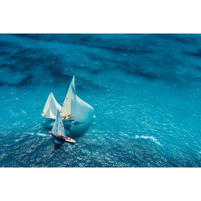 Tirage Sur Verre Synthétique Croisement Bleu 150x100 Cm TIRAGE D'ART CEANOTHE
