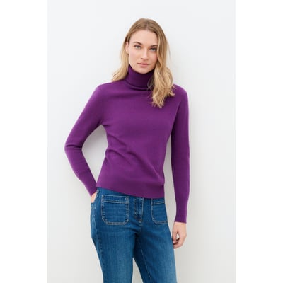 Pull droit col roulé cachemire DYLANB CAROLL