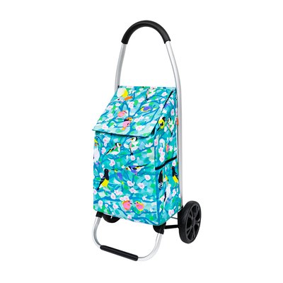 Chariot de courses  Trolly PYLONES