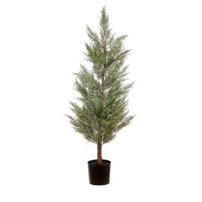 Planta artificial "Cypress" 150cm, BORGHESI BORGHESI