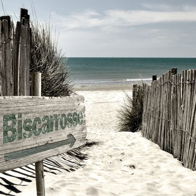 Tableau Mural Panneau Biscarosse PLAGE CEANOTHE