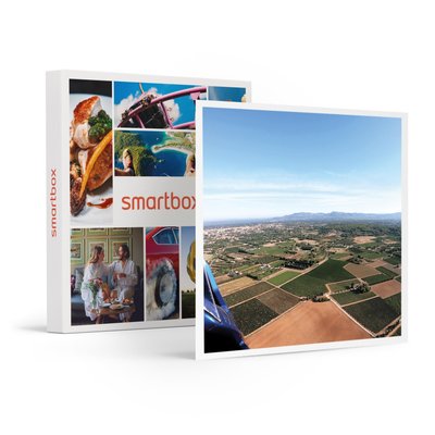 Survol de 55 minutes des monts de Vaucluse en ULM avec montage vidéo - SMARTBOX - Coffret Cadeau Sport et Aventure SMARTBOX