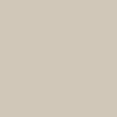 Active Emulsion Paint Silver Dust SANDERSON
