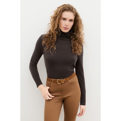 Pull droit col roulé cachemire DYLANB CAROLL