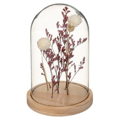 Fleurs séchées sous cloche GYPSY ATMOSPHERA