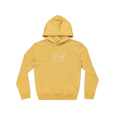 Sweat à capuche PALLET PH. DC SHOES