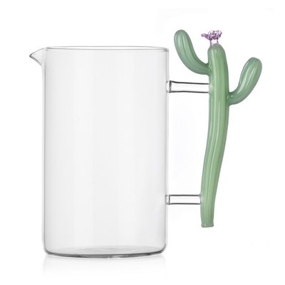 Carafe cactus  Desert Plants ICHENDORF
