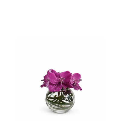 Composition d'orchidée en vase artificielle H20 CHLOE SIA DECO