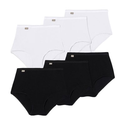 Lot de 6 slips coton maxi (4+2 gratuits) PLAYTEX
