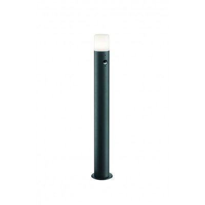 Potelet de jardin à détecteur de présence Hoosic 80 cm TRIO