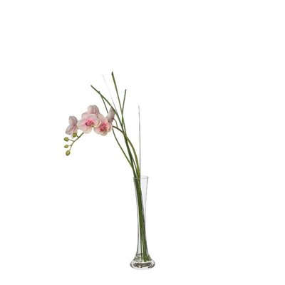 Orchidée en illusion d'eau artificielle H60 SIA DECO
