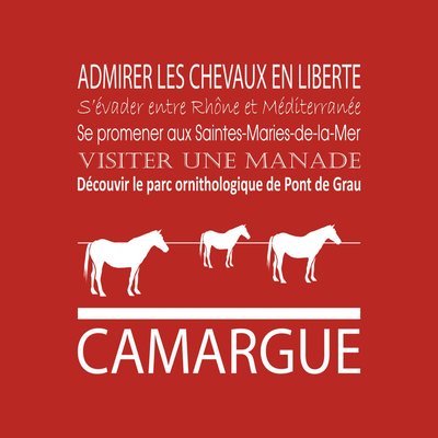 Tableau Sur Toile Camargue ILLUSTRATION CEANOTHE
